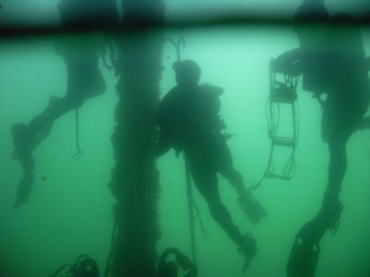 Jayce Love — Royal Australian Navy Clearance Diver