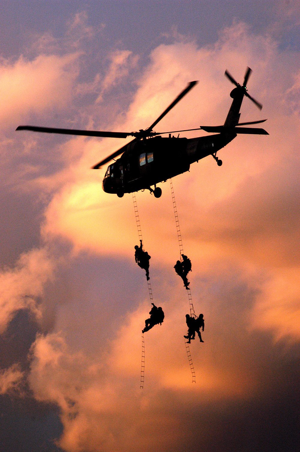 Jayce Love — Clean and Native founder