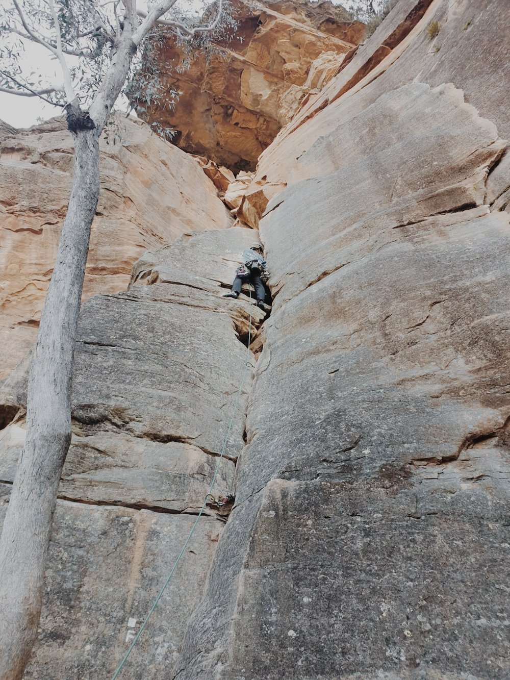 Jayce rock climbing Blue Mountains