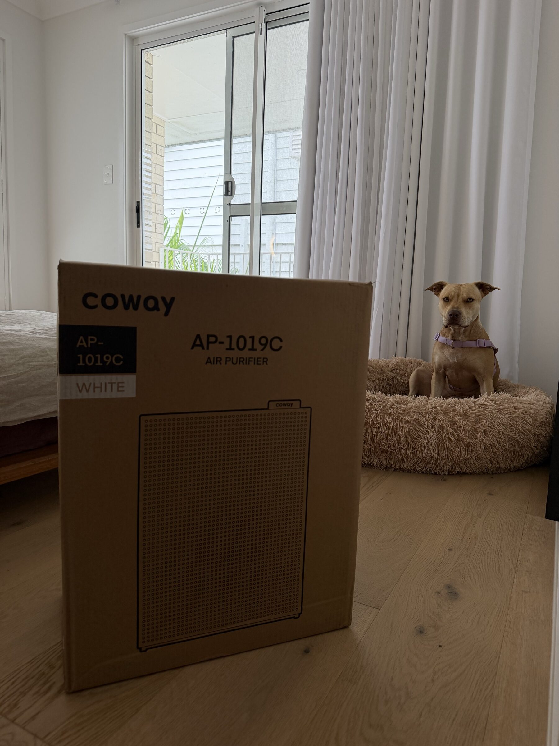Sealed Coway AP-1019C air purifier box on a timber floor next to a dog in a fluffy bed