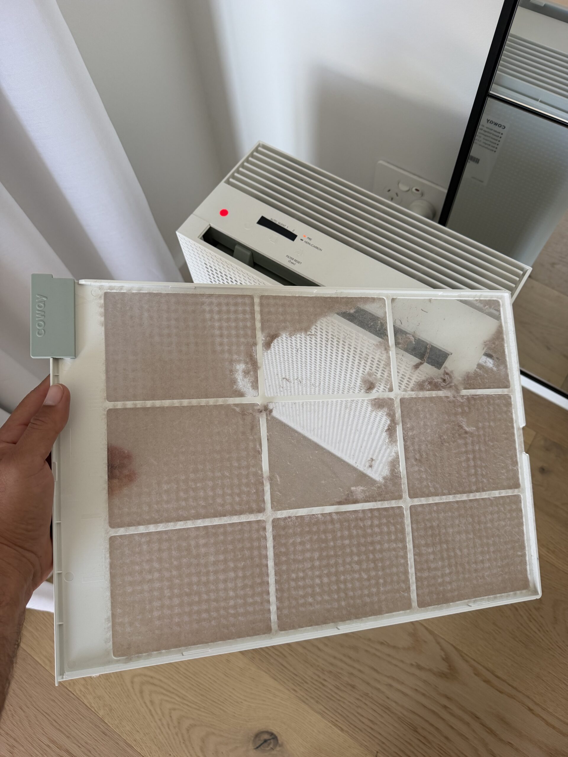 Air purifier top view at Palm Beach QLD home, pre-filter loaded with dust and particles