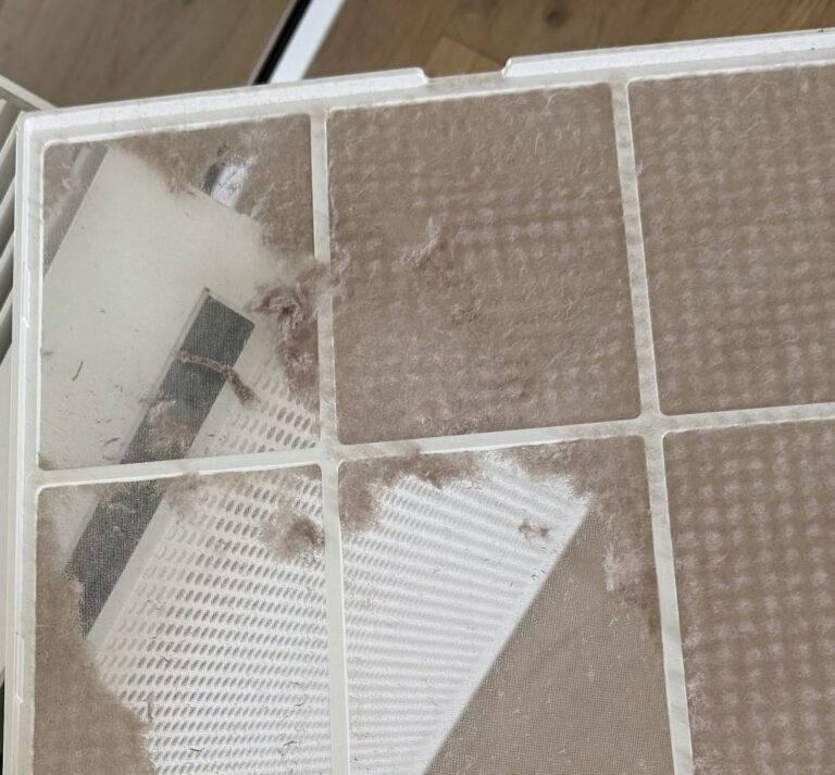 Close-up of the Coway Airmega 150 pre-filter with dust and pet hair after one month