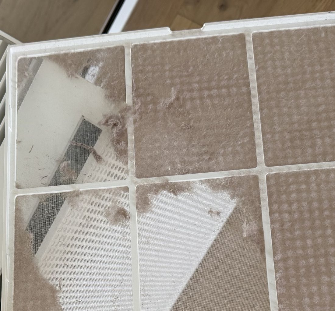 Close-up of a Coway Airmega 150 pre-filter showing heavy dust and pet hair buildup after one month of use