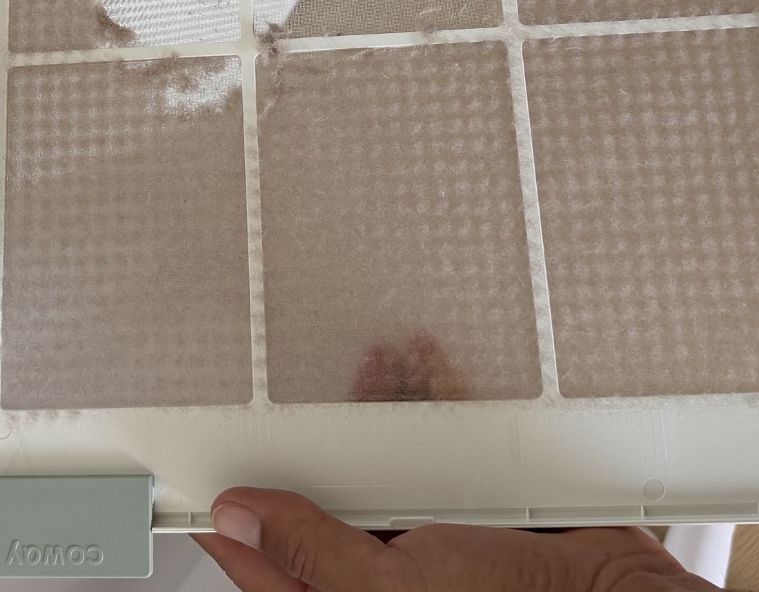 Coway Airmega 150 pre-filter cells caked with grime and a visible stain, held by hand showing the Coway logo tab